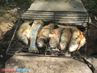 Romania Trip Photos