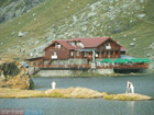 Romania Trip Photos