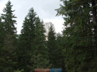 Romania Trip Photos