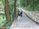 Romania Trip Photos